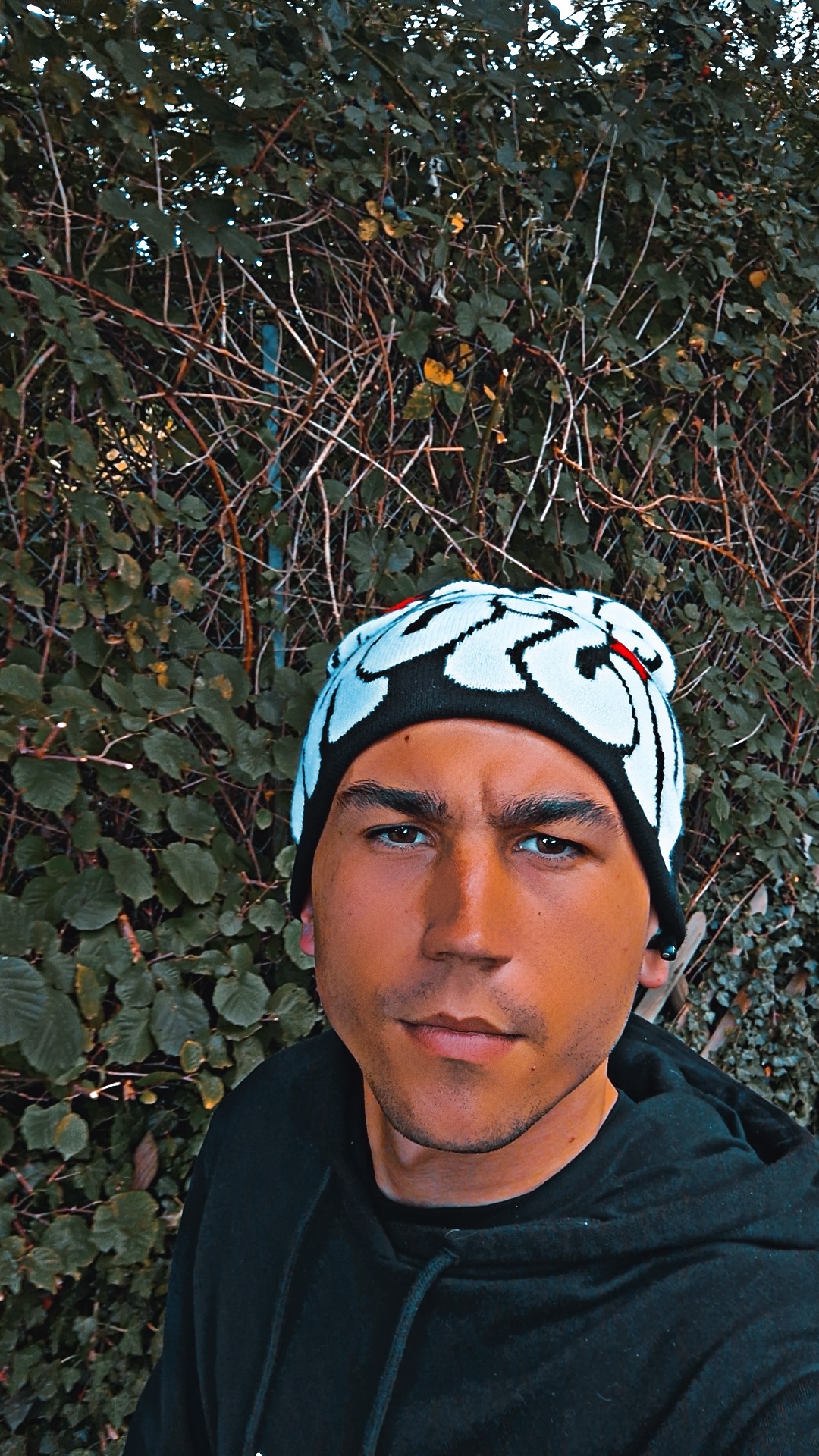 Perfil de Yankel