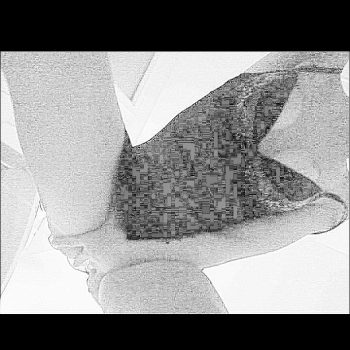 Perfil de Schéhérazade