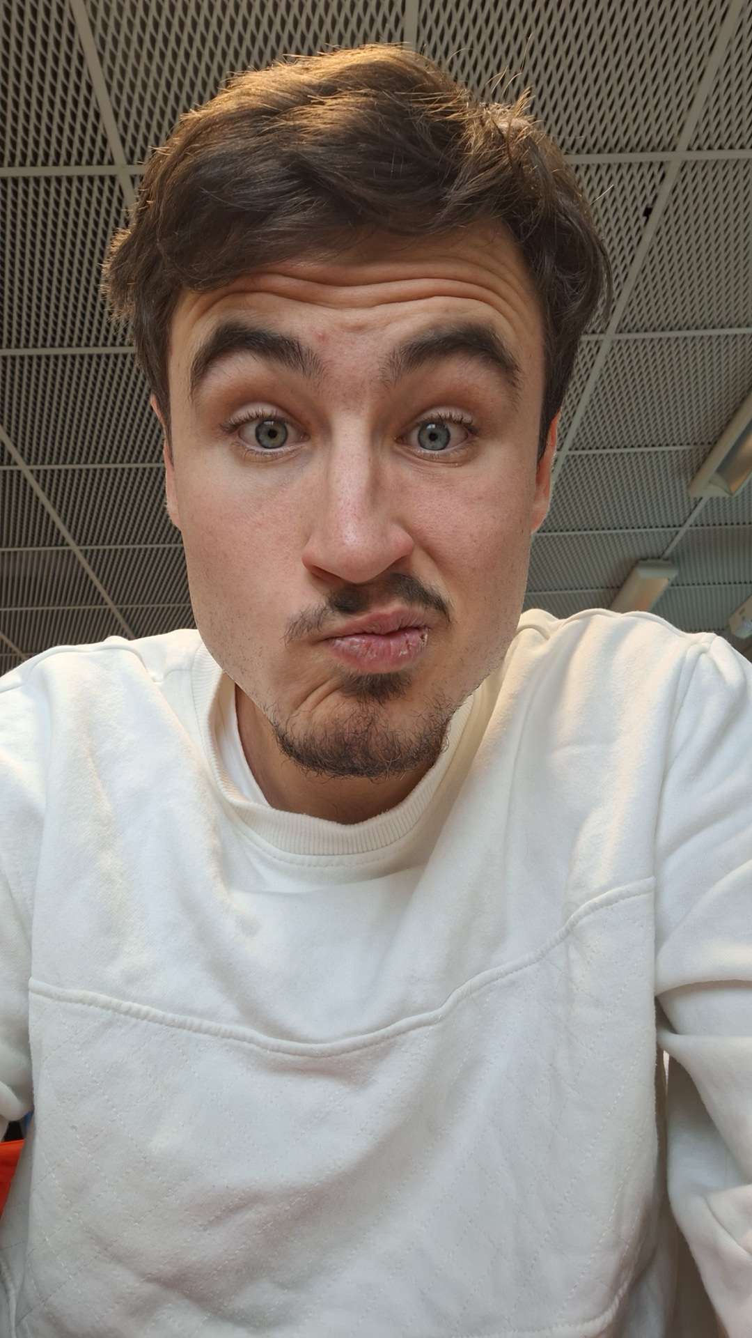 Perfil de Sebastiano