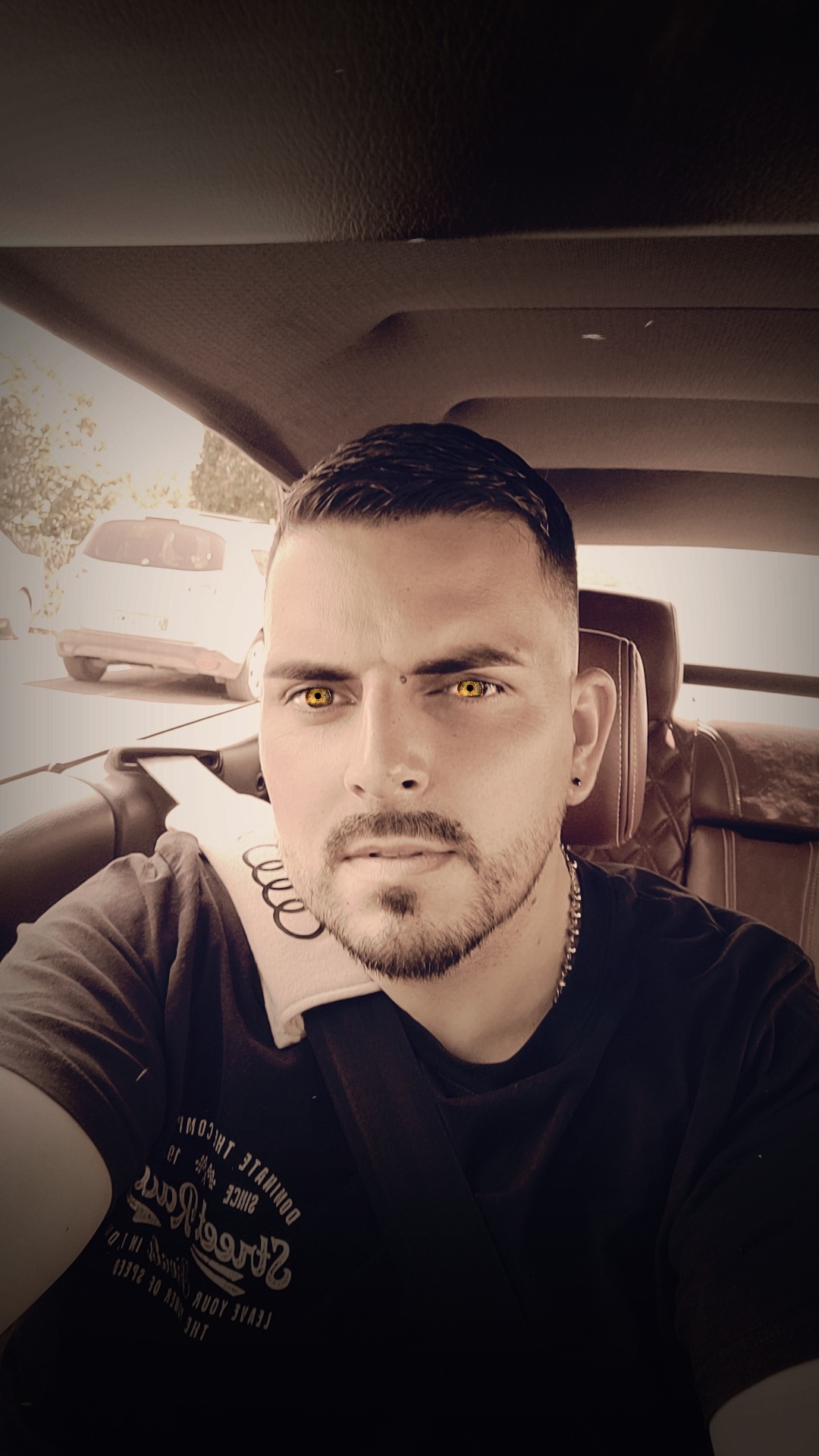 Perfil de Anel