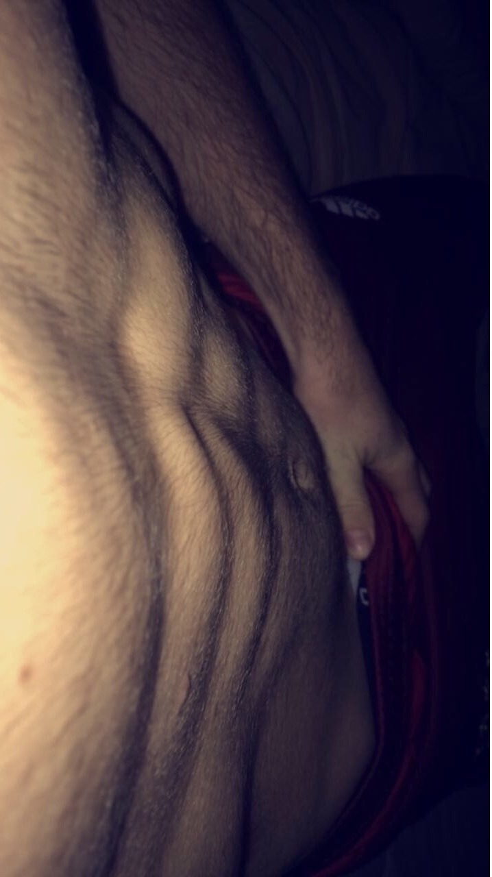 Perfil de Shamseddine