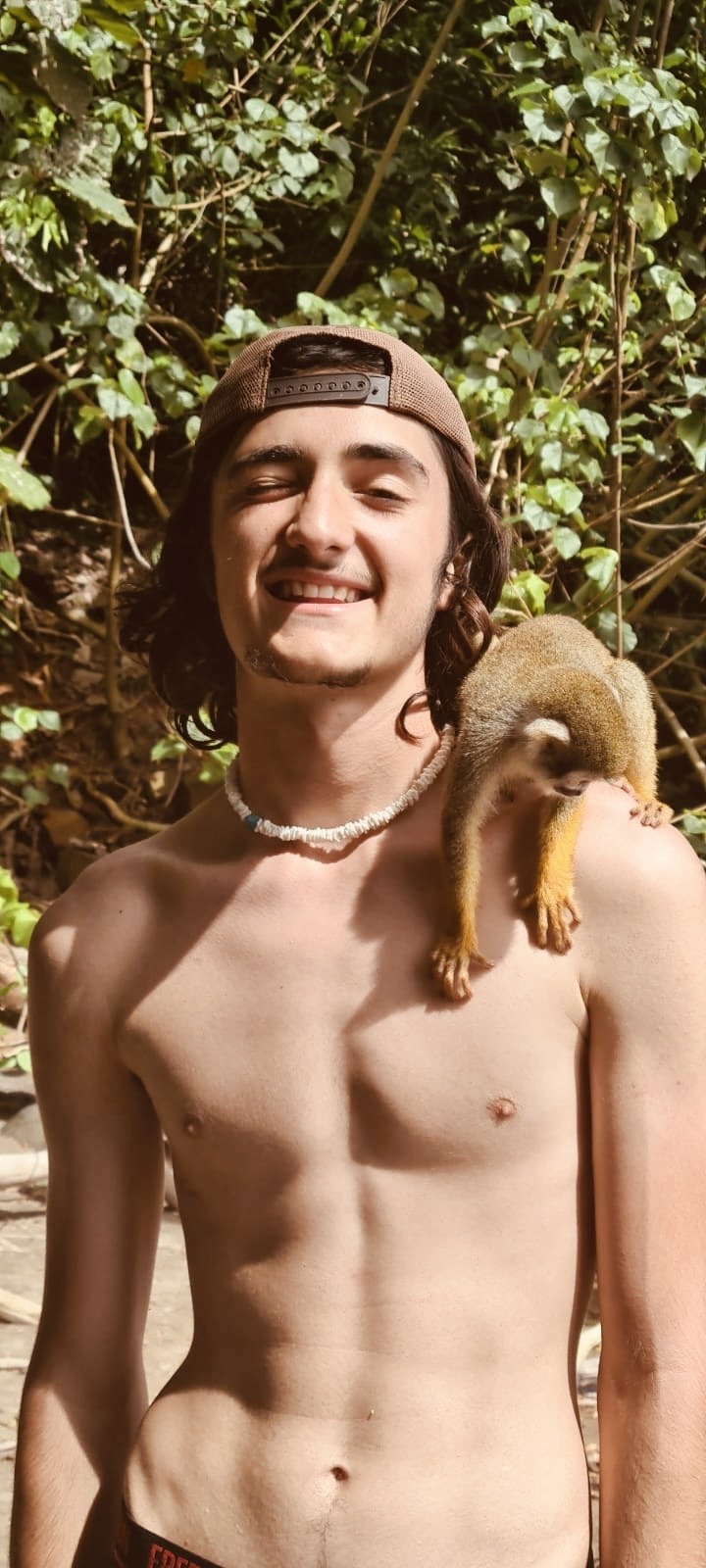 Perfil de Pierre-amaury