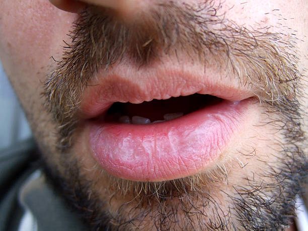 Perfil de Yves-alain