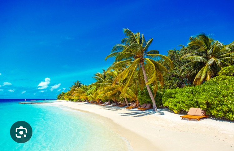 Perfil de Pierre-charles